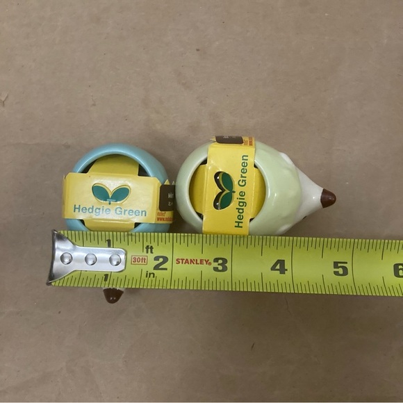 2 x hedgie plants - Picture 6 of 6